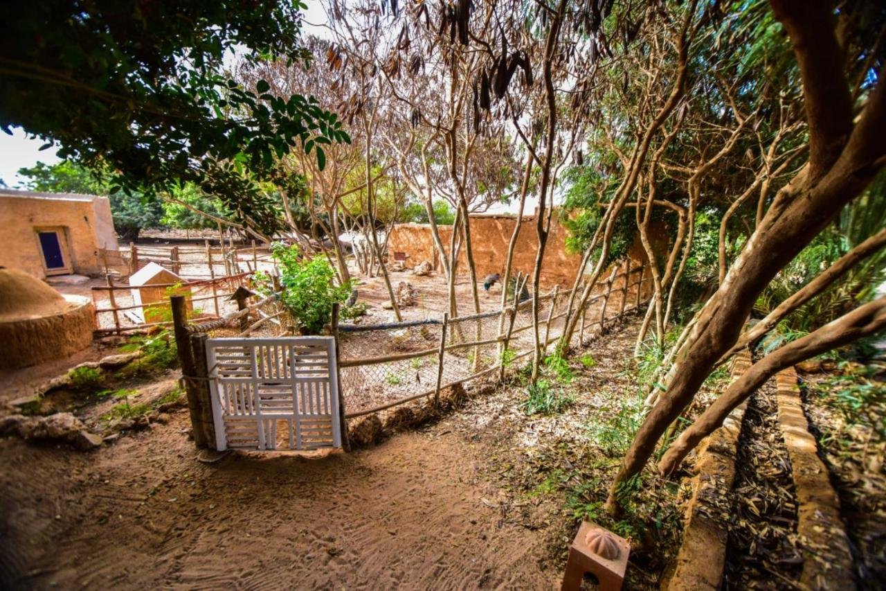 DAR TAWARTA – photo 4