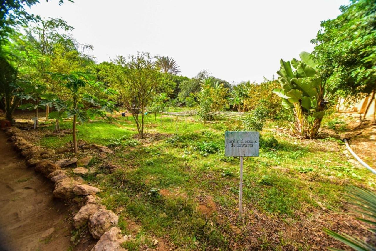 DAR TAWARTA – photo 6