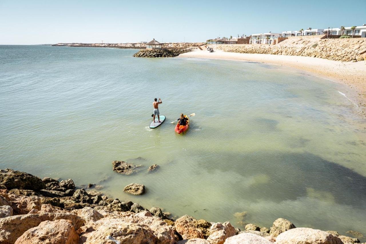 Où observer flamants, dauphins et oiseaux à Dakhla sans les déranger ?